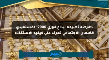 «فرصة ذهبية» إيداع فوري 12000 لمستفيدي الضمان الاجتماعي تعرف على كيفية الاستفادة